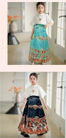 Conjunto de falda con cara de caballo para niña, estilo chino, Hanfu diario para niños, disfraz antiguo, media falda, tesoro de mujer, fino de verano - details 9