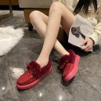 Botas de nieve de terciopelo para mujer, botines cálidos de felpa con cordones, zapatillas suaves, zapatos cómodos de algodón, invierno, 2023 - details 8