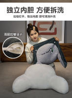 Cojín de Lectura de Seda de Hielo Almohada de Espalda con Bordado Almohada Decorativa para Cama - details 10