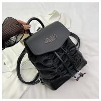 Mochila informal De Moda para Mujer, Bolsa Plisado Premium De Estilo universitario - details 23