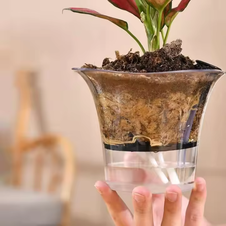 Maceta de plástico transparente para plantas con riego automático, cuadrado, nuevo diseño, para jardín - 1