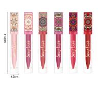 Gloss de Labios Mate Rosa Estilo Bohemio Duradero Impermeable Labial Hidratante No Pegajoso de Color Vibrante - details 12