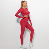 conjunto de yoga para mujer sin costuras ropa deportiva de gimnasio con manga larga sujetador de alto cinturón leggings de gimnasio traje deportivo - details 51
