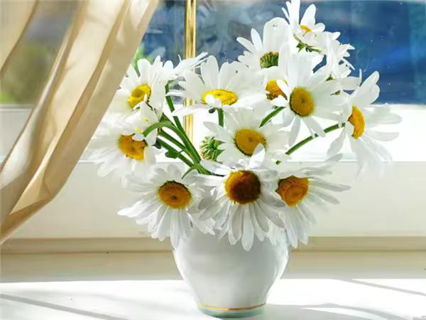 RUOPOTY-pintura personalizada por números para manualidades, imagen de dibujo de flores, regalo personalizado - 1