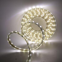 Tira de luces LED de 220V, cinta Flexible resistente al agua, 60LEDs/m, SMD 5050, con enchufe europeo, decoración del hogar, Blanco cálido/azul - details 5
