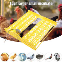 Incubadora automática de huevos de aves biónicas para incubar y criar pollos, patos y gansos - details 7