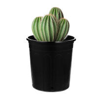 Decoración de lavabo de balcón de plástico con flores, jardín interior, planta ETA, 10 piezas - details 6