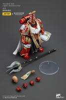 JOYTOY Figura de Acción Horus Heresy Legión de Mil Hijos del Tacticante MK IV - details 67