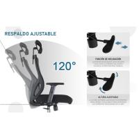 con Apoyo Lumbar Regulable y Ruedas silenciosas