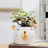 1 oso de dibujos animados en forma de animal de cerámica de estilo nórdico, gato, cabeza de vaca, mini planta jugosa, bonsái ETA, decoración del hogar - details 4
