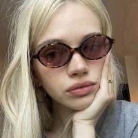 Gafas de sol de leopardo ovaladas pequeñas y sexys para mujer, encantadoras Ins sin maquillaje, montura de gafas lisas, gafas decorativas bonitas para ordenador - details 1