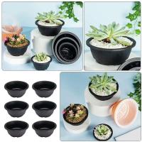 ETA de plástico para plántulas, plantas suculentas, recipiente de 165x74cm, decoración de escritorio, 6 piezas. - details 4