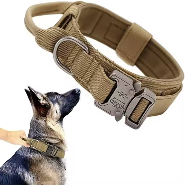 Correa de Entrenamiento al Aire Libre para Perros Medianos y Grandes Collar Incluido - 1