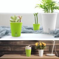 Maceta de riego automático para vivero, contenedor de cultivo, macetas de nivel de agua Visible con orificio de drenaje, herramienta de plantación de jardinería, 1 ud. - details 5