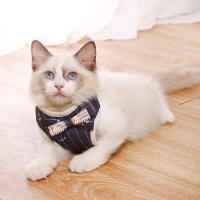 Conjunto de arnés y correa con lazo para gato, correa de plomo ajustable para cachorro, chaleco de malla de nailon, Collar para gatito, accesorios para gato - details 7