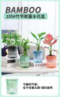Planta hidropónica jugosa, riego automático, mini mesa de comedor interior ETA, decoración de bonsái para jardín y hogar - details 0