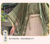Camisa de manga grande para mujer, conjunto completo estampado elegante Hanfu, Falda plisada con cintura, fresco diario, primavera, verano y otoño - details 5