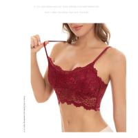 Nuevo Sujetador de Encaje para Mujer Top Cómodo en Una Pieza Lencería Sexy sin Costuras - details 2