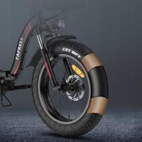 FAFREES F20 MAX Bicicleta Eléctrica Plegable, Frenos de Doble Disco + Cambios SHIMANO, Luz Solar, Neumáticos de 20*4,0 pulgadas de ancho, Batería de 48V 22.5Ah, Motor de 250W, Velocidad Máxima de 25km/h, Alcance de 100-120km, Pantalla LCD, Gris - details 7