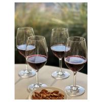 Juego de plástico de 4 (20 oz), juego de vasos Tritan sin BPA, vasos irrompibles, copas de vino - details 1