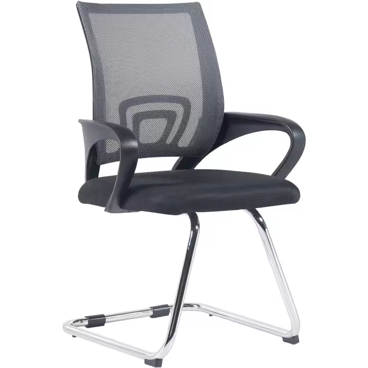 Silla De Conferencia Eureka En Estilo Cantilever Eureka I Silla de Oficina Moderna con Reposabrazos y Sin Ruedas, Color: Gris - 1