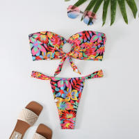 2024 New Split Bikini Printed Breasted Sexy Spicy Slim G-string Two Piece Swimwear Tight Beach Holiday Travel Swimwear Women - details 25