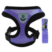 Correa de arnés ajustable para perros Collar para cachorros y perros pequeños y medianos - details 13