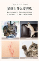 Tablero de garra grande Vertical duradero que no se desprende, nido de papel corrugado para rascar, suministros de juguetes para gatos - details 2