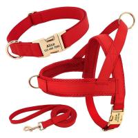 Collar de cuero para perros, juego de correas, chaleco de malla para mascotas, identificación personalizada, cables para perros pequeños, medianos y grandes - details 6