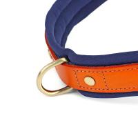 Collar de Cuero de Nylon para Perros Correa de Captura de Mascotas sin Tirón para Perros Pequeños y Grandes Correa de Vestir de Mascotas - details 14