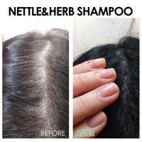 El champú a base de hierbas limpia profundamente el cuero cabelludo, suaviza el cabello, hidrata las raíces y proporciona un cuidado del cabello denso y firme. - details 8