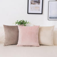 Funda de Cojín de Terciopelo Decorativo Rosa Gris para Sofá de Casa 45x45cm 40x40cm Estilo de Arte de Fondo de Pantalla Normal Producto de China - details 2