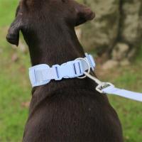 Correa de Dispensación de Perros Personalizada Correa Sin Correas Estable con Saco de Crap y Bolsa de Paseo Suministros para Mascotas - details 20