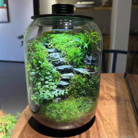 Lámpara de cultivo de plantas de terrario USB regulable con temporizador para jarrones, crecimiento de plantas de interior, suculentas, paisaje de jardinería en miniatura - details 9