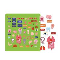 Libros educativos de pegatinas de gelatina, escena reutilizable impermeable, pegatinas silenciosas, juego a juego lavable, libro silencioso para niños para bricolaje - details 10