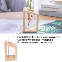 Florero de tubo de ensayo de cristal con soporte de madera, macetas para plantas hidropónicas, decoración del jardín del hogar - details 1