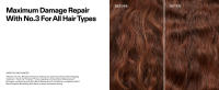 Maximum Damage Repair with No.3 for All Hair Types
