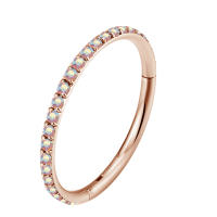 ASTM-Aro de segmento con bisagras de titanio, Circonia cúbica, para tabique nasal, pezón, golpe, Tragus, Hélix, Labret, Piercing para labio, joyería para el cuerpo, F136 - details 7