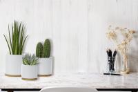Juego de maceta de cerámica para interior, maceta blanca, contenedor de maceta de cerámica para exteriores, tamaño mediano con platillo (blanco) - details 3