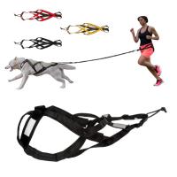 Arneses Reflectantes Ajustables para Mascotas Nocturnas Arneses de Pecho Engrosados para Paseos Nocturnos al Aire Libre - details 5