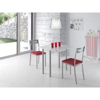 Mesa de Cocina Extensible Moderna Estilo Blanco/Plata Tamaño 80x40/80x78 cm RIBETA - details 1