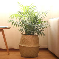 Cesta de mimbre para algas marinas, maceta colgante para flores, cesto para la ropa sucia, cesta de almacenamiento - details 1
