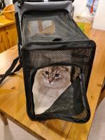 Mochila extensible para mascotas, bolsa de gran capacidad, transpirable, portátil, plegable - details 17