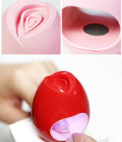 Arte Clavo-Mini secador de uñas, lámpara UV LED de 8W, nueva interfaz USB para manicura, herramientas de Arte de uñas de un solo dedo, diseño de flores rosas, portátil - details 10