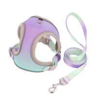 Chaleco con arnés para perro de Color degradado, transpirable con correa reflectante, correa para perro en el pecho y en la espalda, correa ajustable Universal para caminar para perros - details 6