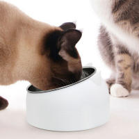 Cuenco de comida para perros, Base antideslizante, doble cuenco, respetuoso con el medio ambiente, para cachorros, gatos y perros - details 5