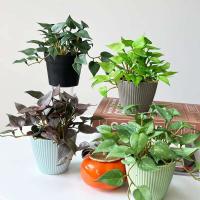 Bundles de Plantas Artificiales Mini Monedas de Cobre, Hierba, Goma Suave, Verde Falso para Decoración de Hogar, Oficina, Jardín - details 2