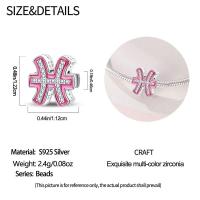 Dijes CláSicos Originales, Plata De Ley 100%, Con Las 12 Constelaciones De Aries Y Piscis, Aptos Para Pulseras De 3 Mm, JoyeríA Artesanal Para Mujer, Regalo De Fiesta De CumpleañOs - details 66