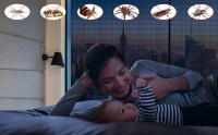 Tela de Mosquitos por Metros,Malla para Ventana,Fibra de Vidrio Fina para Hacer Mosquitos y Otros insectos - details 1