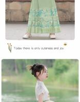 Conjunto de cara de caballo para niña, Hanfu de alta gama para niños, estilo chino, falda de disfraz de la dinastía Ming para niña pequeña para primavera - details 9